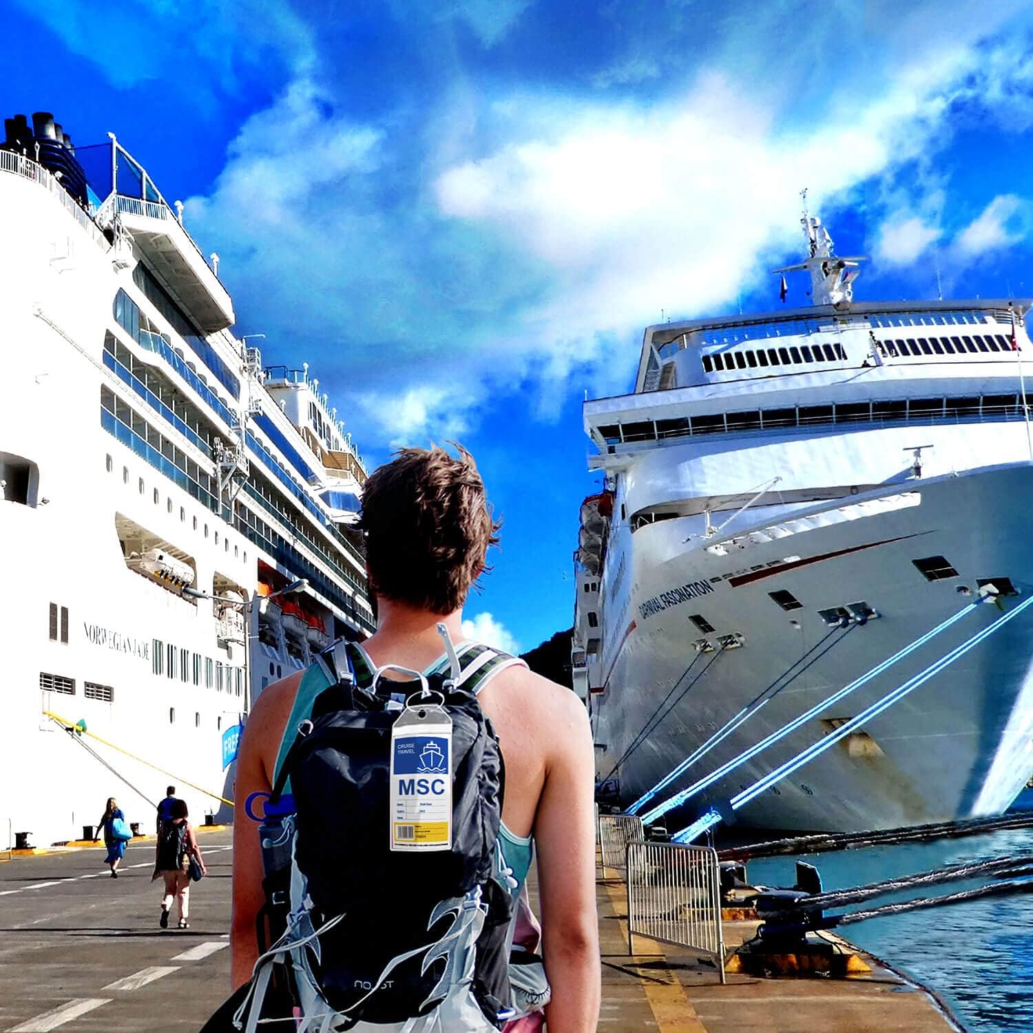 cruise-luggage-tags-review-ocean-bliss-journeys