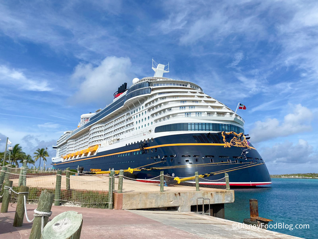 Can You Bring An Iron on a Disney Cruise?
