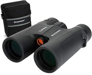 What Binocular Magnification Is Best For Alaska Cruise