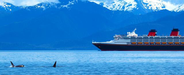 What Is Inside Passage Alaska Cruise