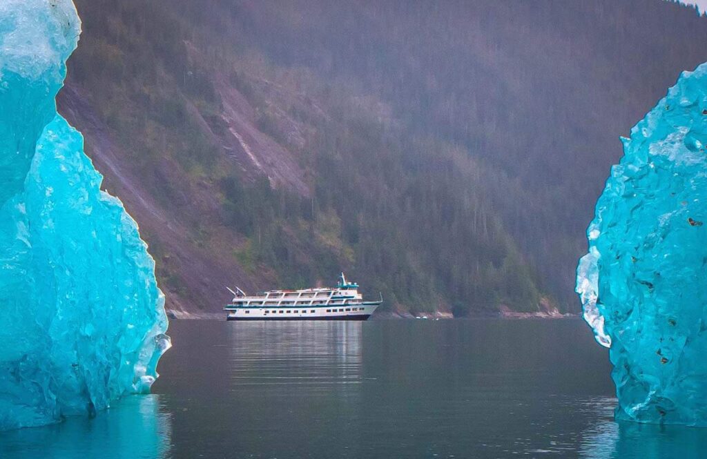 What Wildlife Will We See When Cruising Alaska Inside Passage