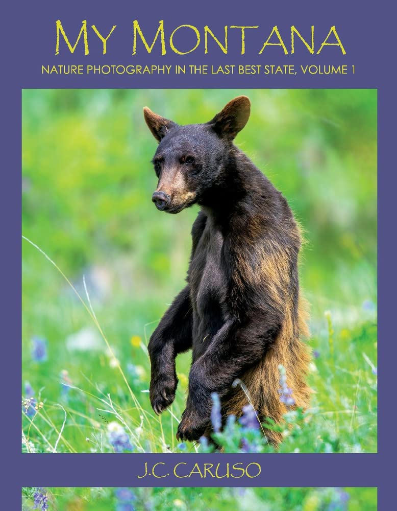 My Montana: Nature Photography in the Last Best State (1)     Hardcover – December 13, 2021