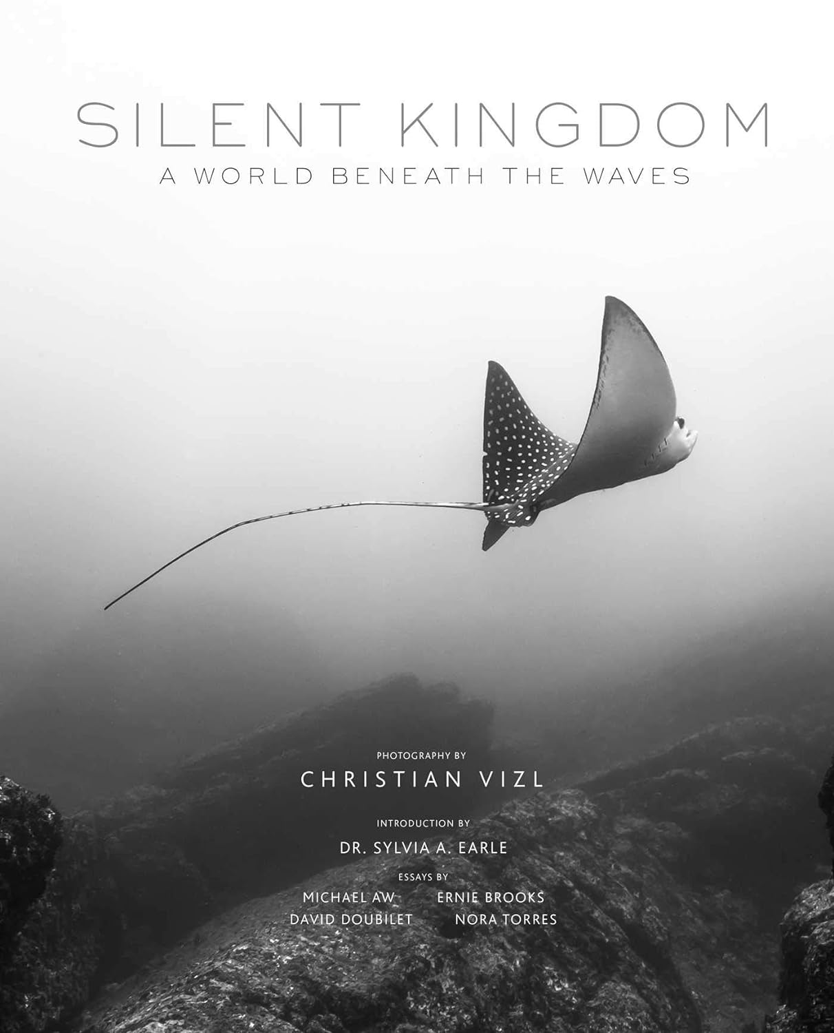 Silent Kingdom: A World Beneath the Waves     Hardcover – May 14, 2019