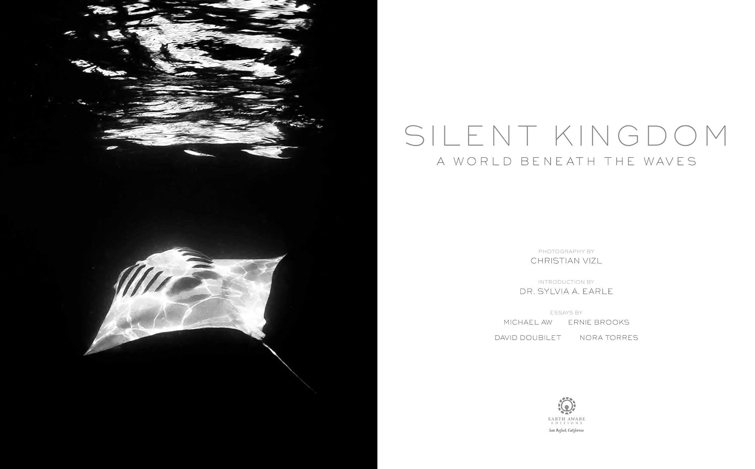 Silent Kingdom: A World Beneath the Waves     Hardcover – May 14, 2019