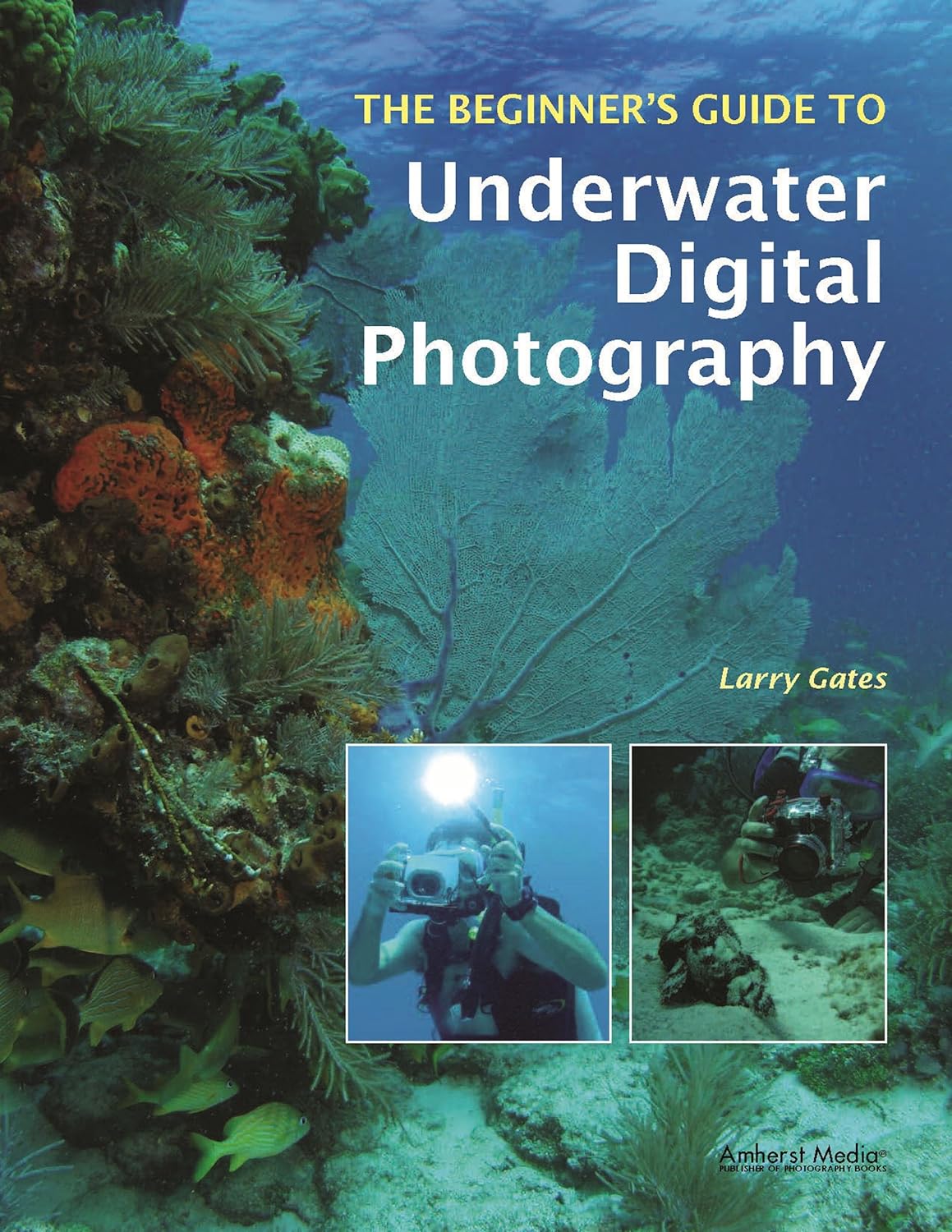 The Beginners Guide to Underwater Digital Photography     1st Edition, Kindle Edition