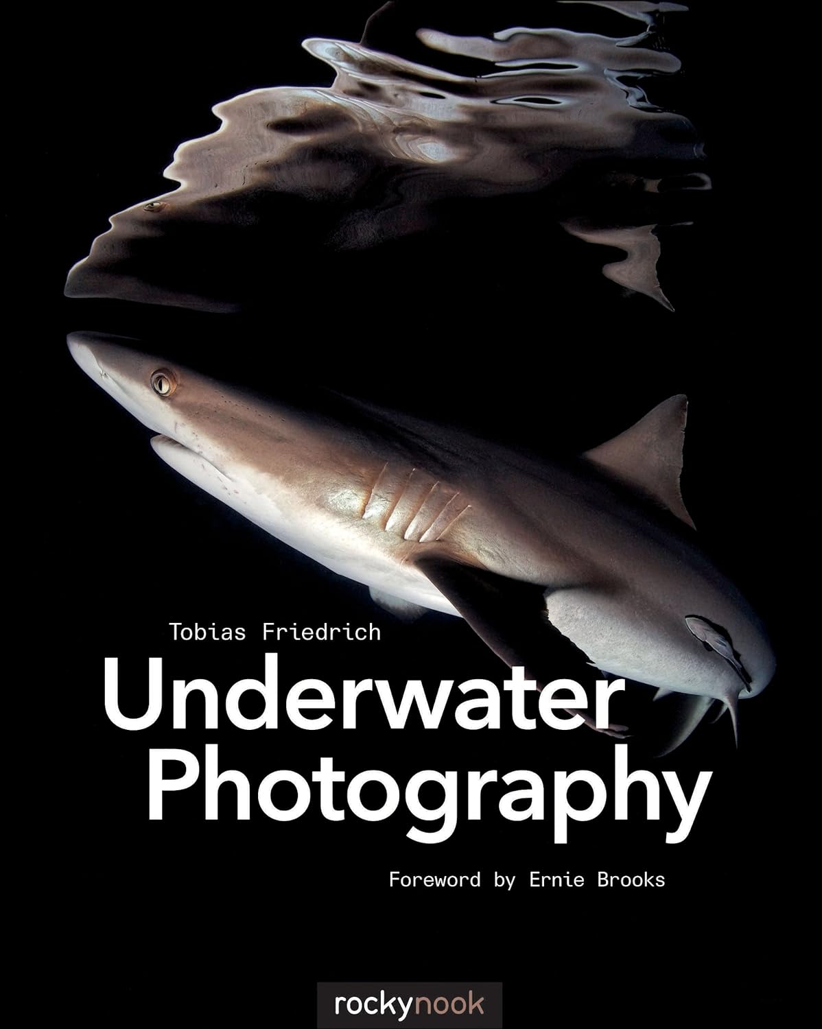 Underwater Photography     Paperback – September 20, 2014