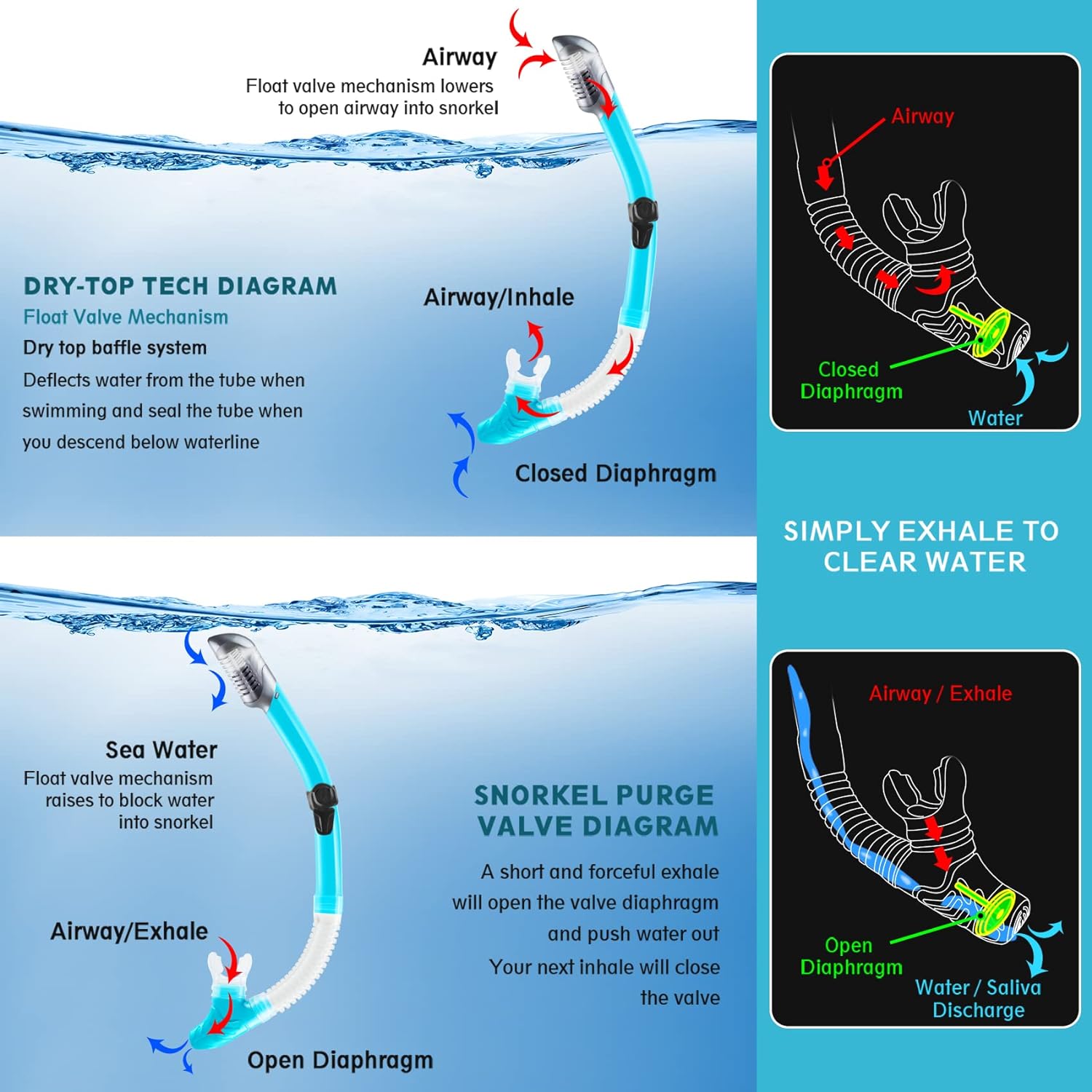 ZEEPORTE Mask Fin Snorkel Set Review Ocean Bliss Journeys